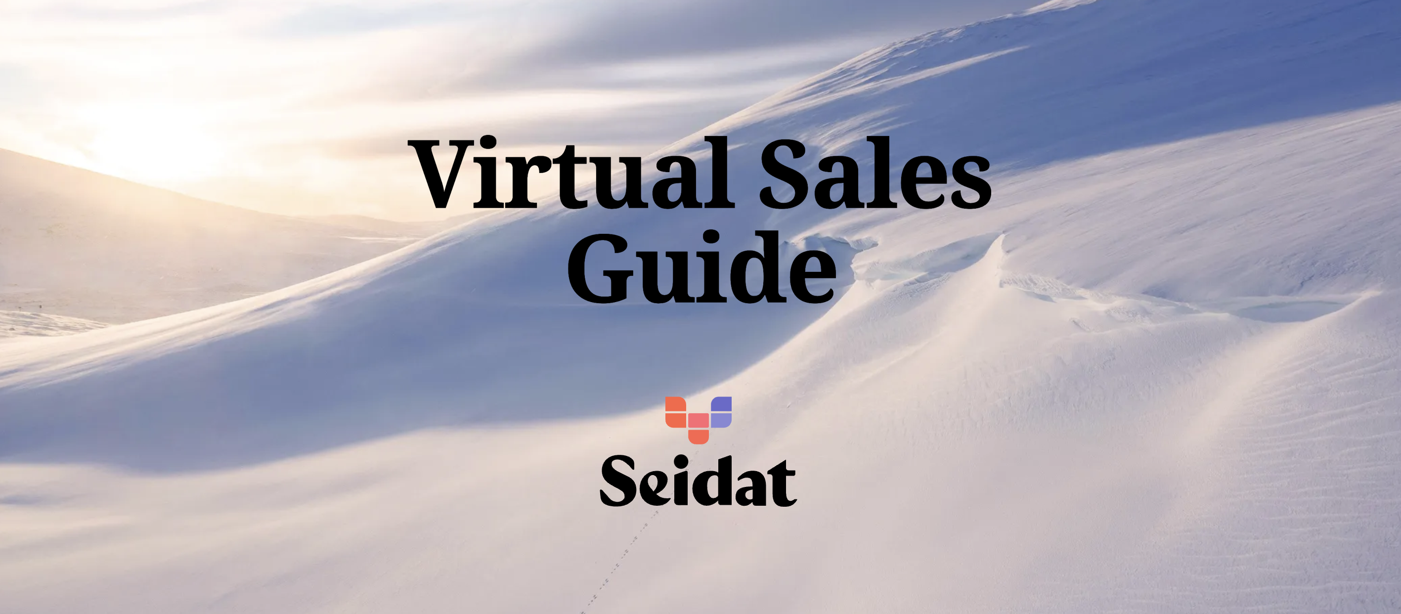 Virtual sales guide Seidat