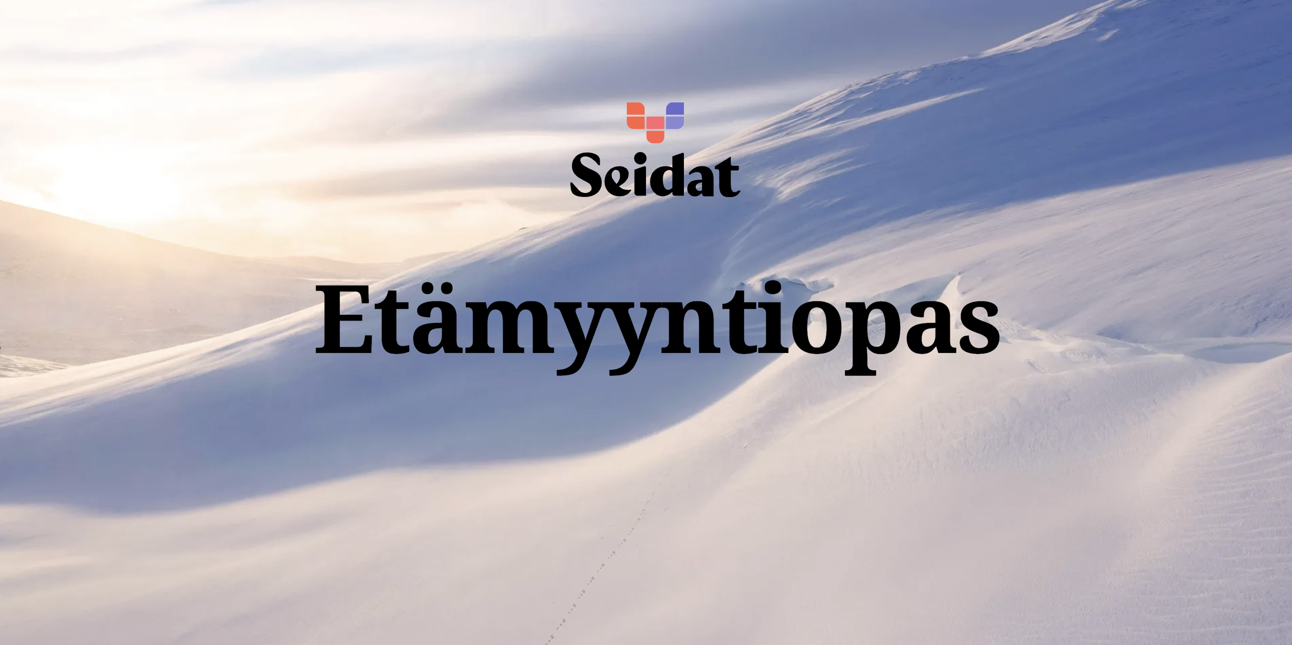 Seidat etämyyntiopas