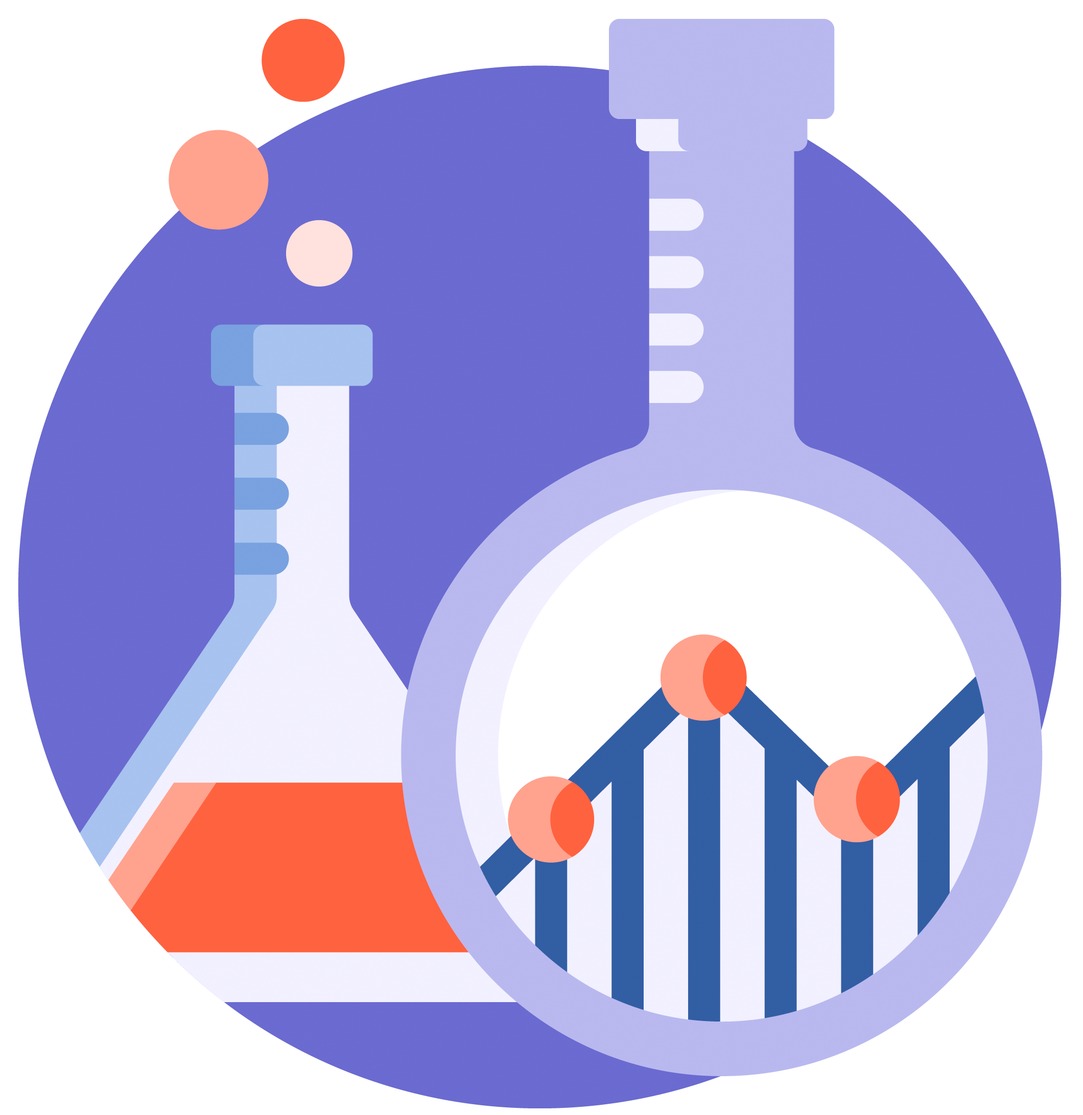 Seidat Startup program