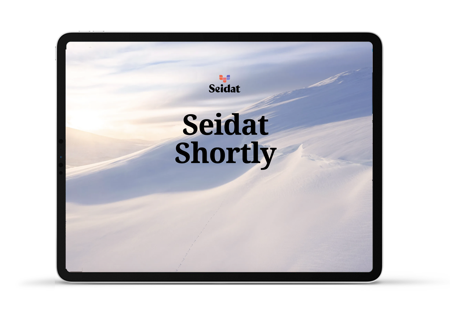 Seidat intro materials