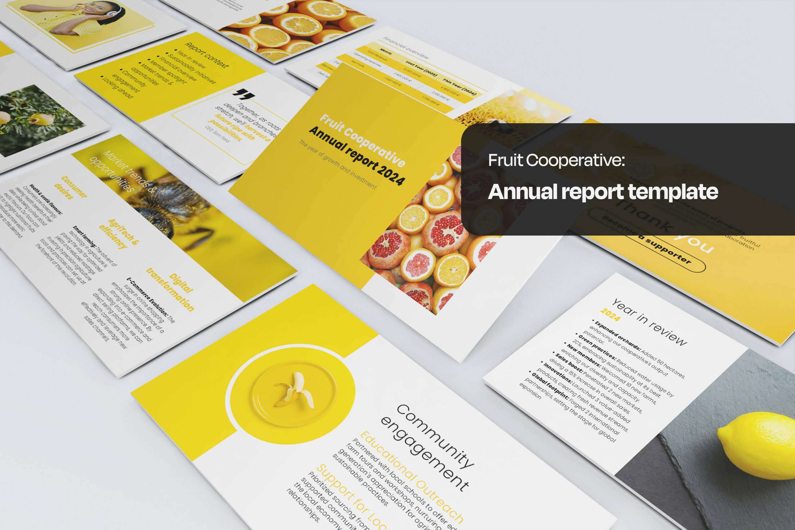Annual report Seidat template